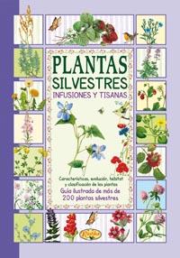 Plantas silvestres, infusiones y tisanas