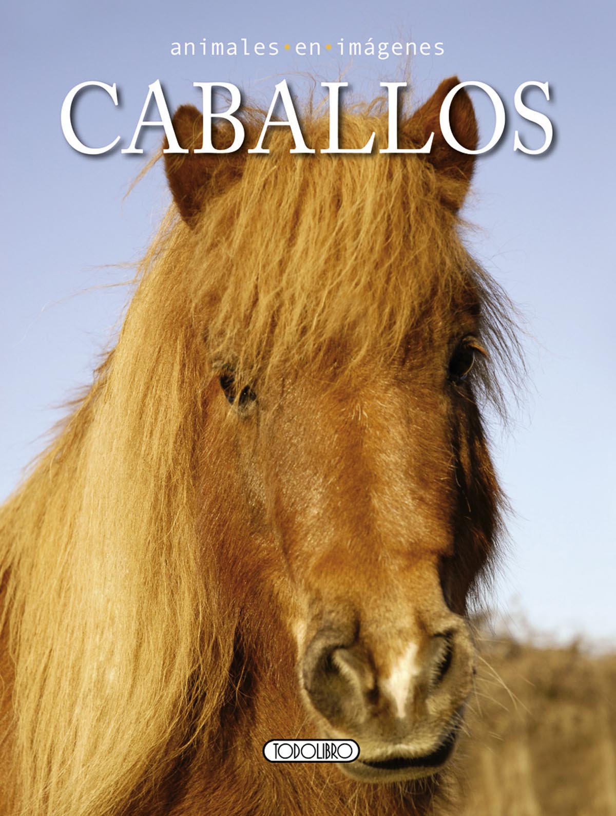 El Nombre De Los Caballos Libro